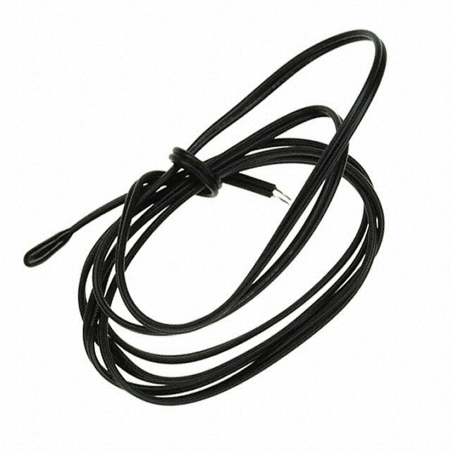 Temperature Probe